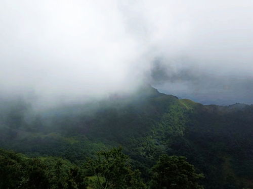 岑溪風(fēng)物 今身幸誤臨仙界,暗坐云端樂此行