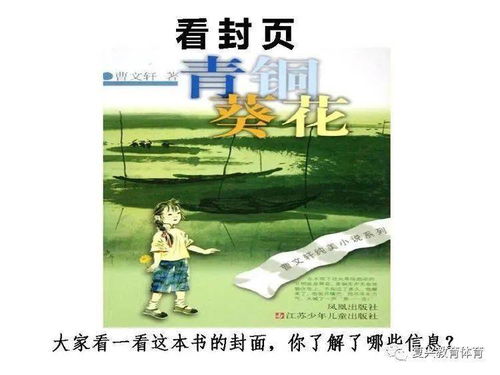 雙百云行動(dòng) 青銅葵花閱讀指導(dǎo)課故云行